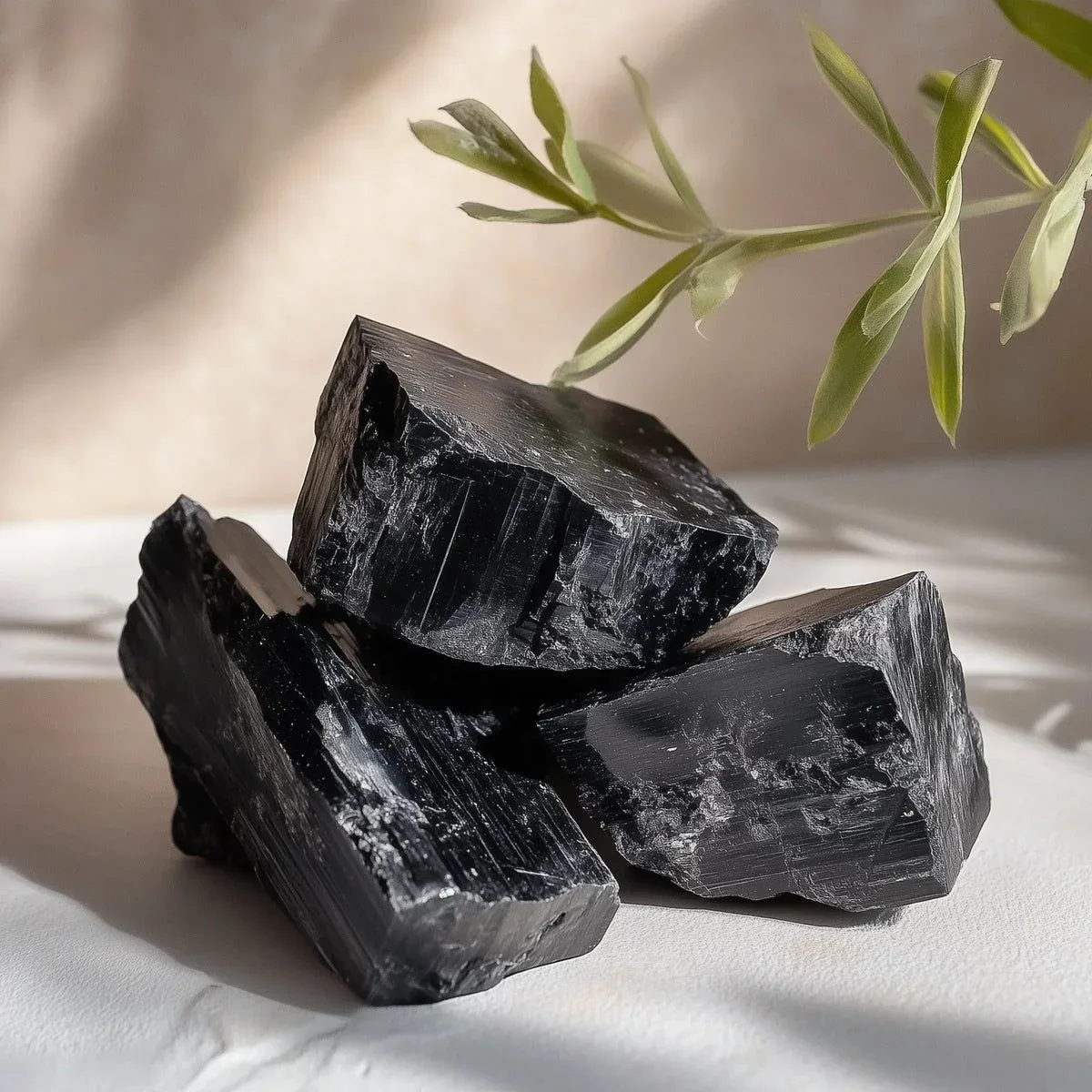 Shungite